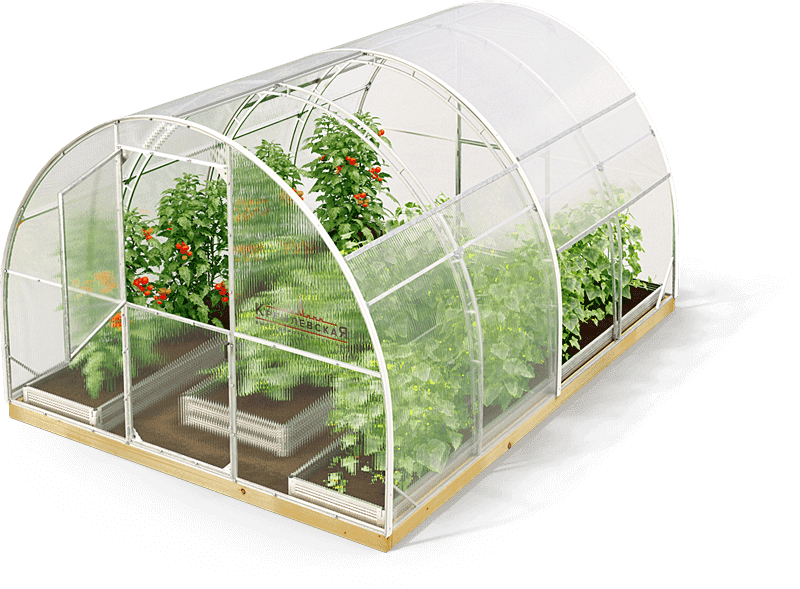 Кремлевские теплицы купить в Москве