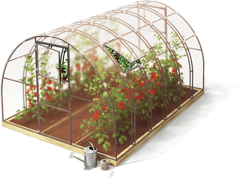 Кремлевские теплицы купить в Москве