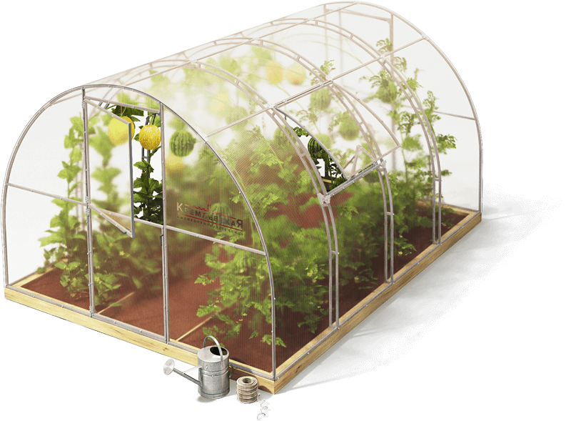 Кремлевские теплицы купить в Москве